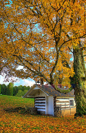 The Old Well House
