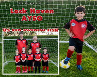 U5 Red Swedish Fish