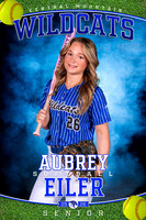 Senior Banners