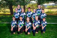 U11 Specko Geckos