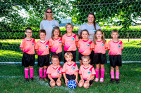 U7 Pink Parrots