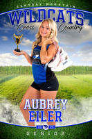 Senior Banners