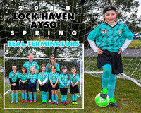 Teal Terminators