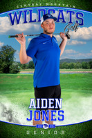 Senior banners