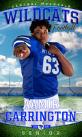 Senior banners